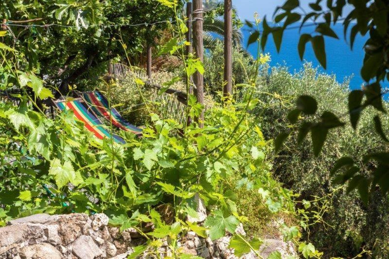 Отель Agriturismo La Selva Финале Лигуре Экстерьер фото